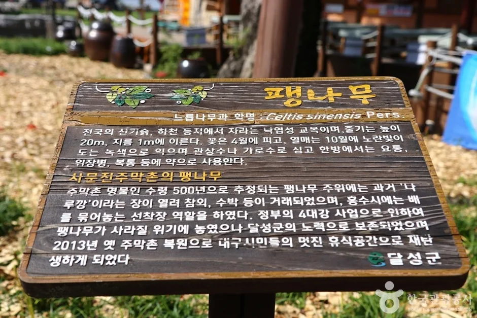 사문진나루터 (10)
