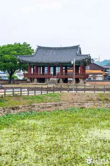 정읍_정읍 피향정 (5)