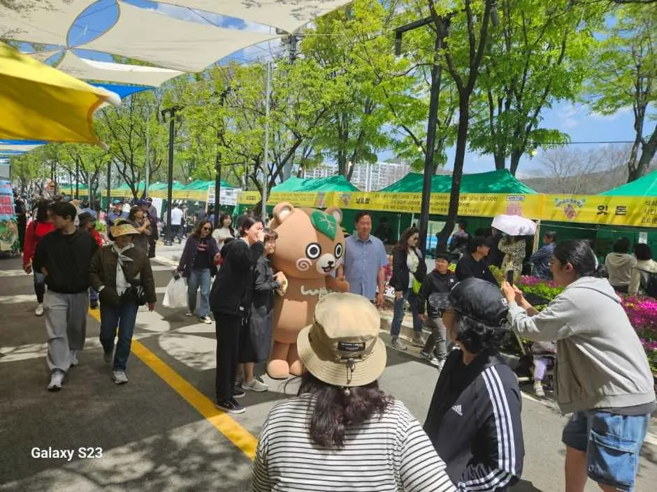 2026 청춘양구 곰취축제 (3).jpg
