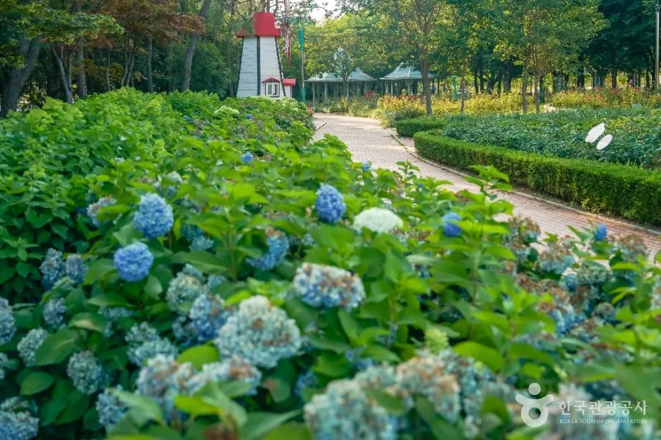 창원_장미공원(창원) (5)
