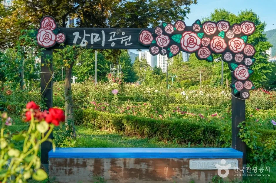 창원_장미공원(창원) (4)