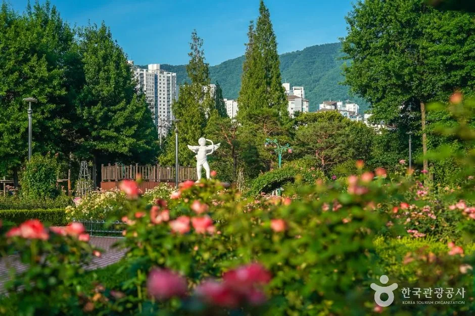 창원_장미공원(창원) (3)