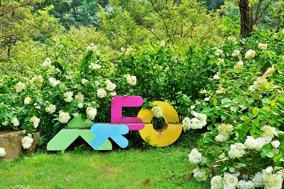 상당산성자연휴양림 (7)