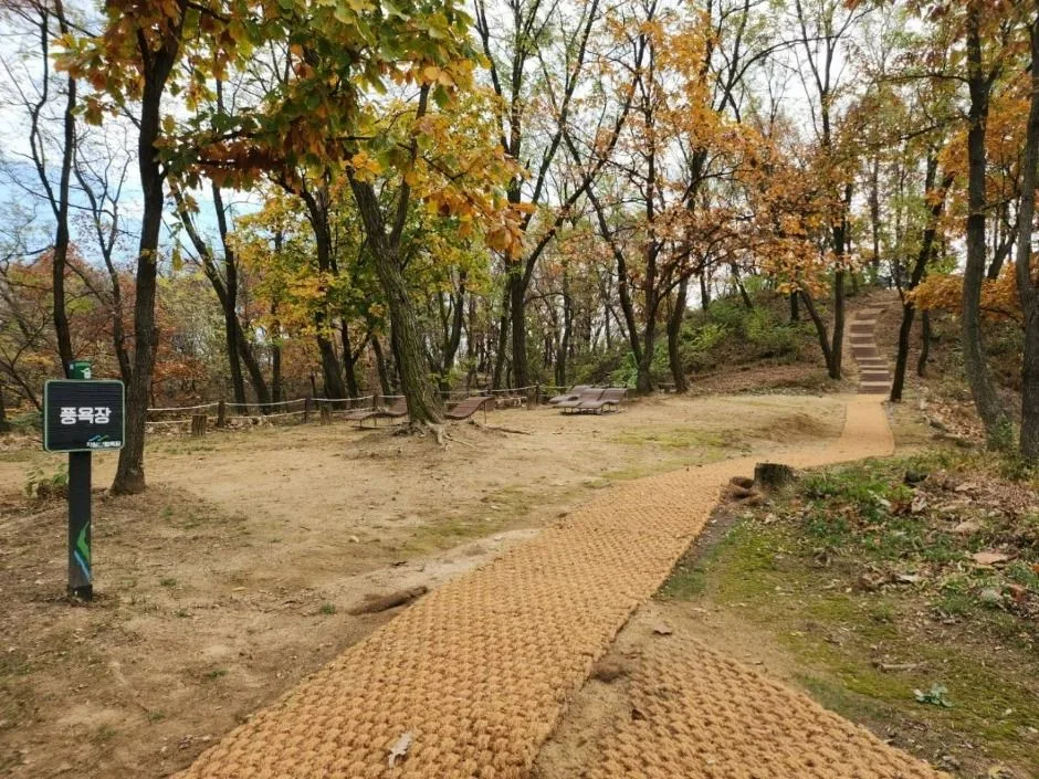 자일산림욕장 (4)