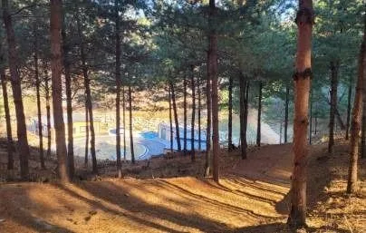 자일산림욕장 (6)
