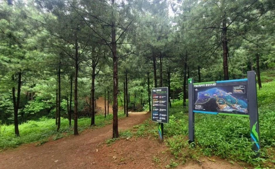 자일산림욕장 (8)