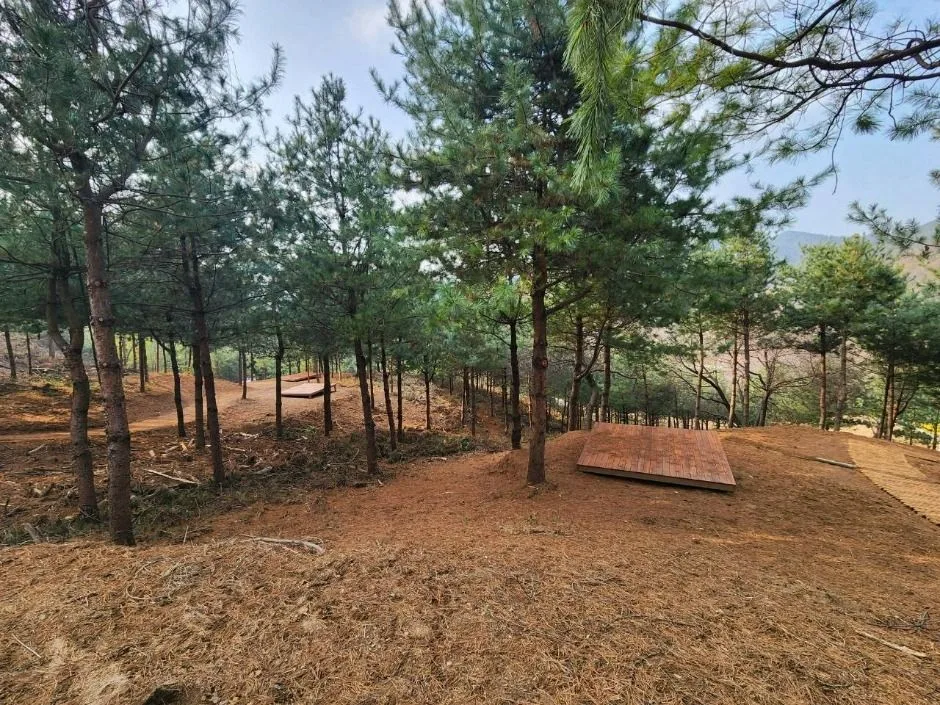 자일산림욕장 (3)