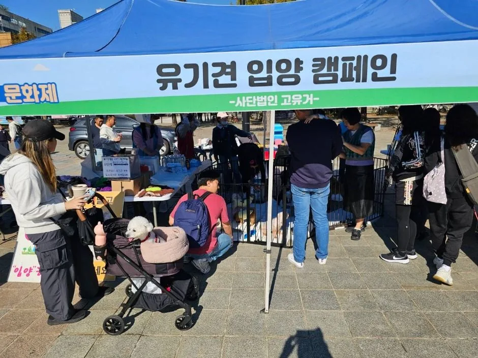 고양 동물교감치유 문화제