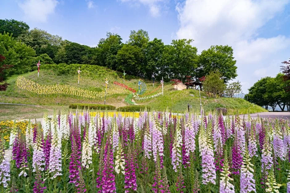 용인 8경_4경 용인농촌테마파크 (2)