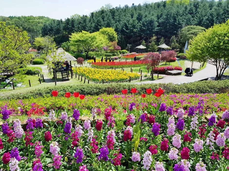 용인 8경_4경 용인농촌테마파크 (3)