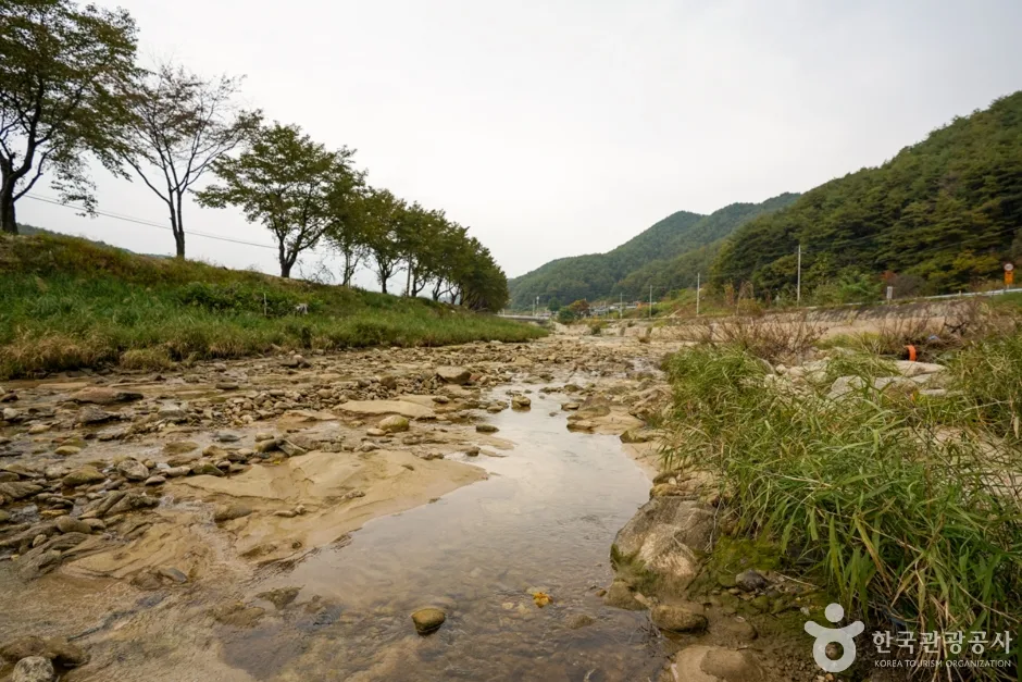 경북_봉화_사미정계곡 (6)