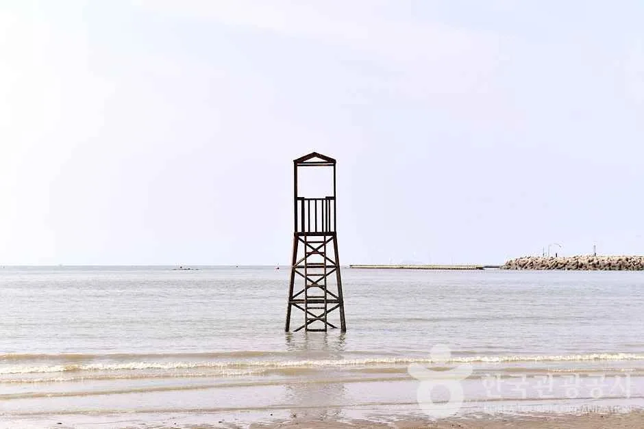 전남_영광_가마미해수욕장 (13)
