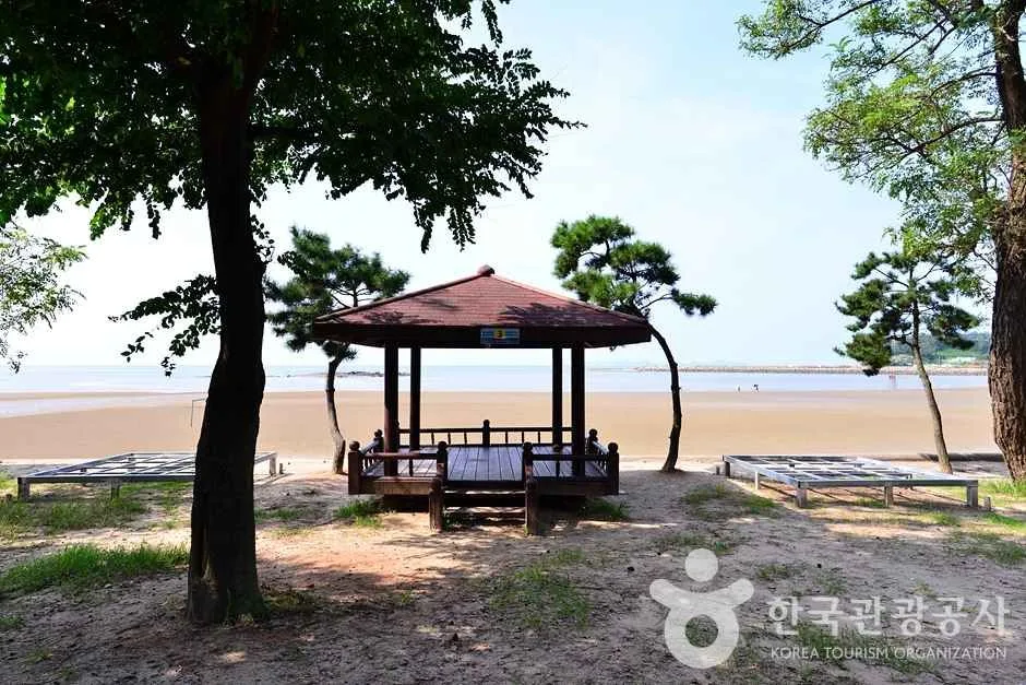 전남_영광_가마미해수욕장 (26)