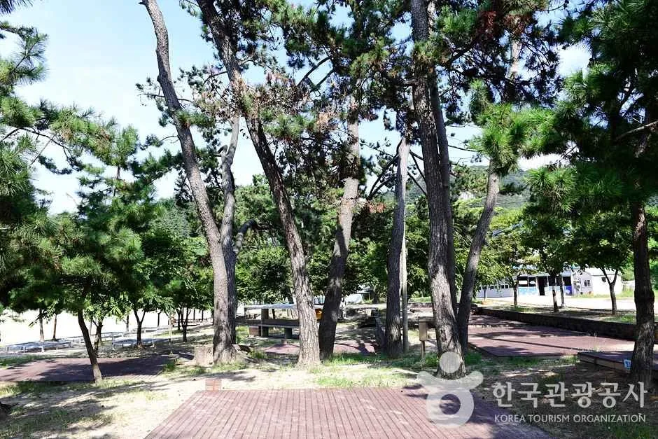 전남_영광_가마미해수욕장 (24)