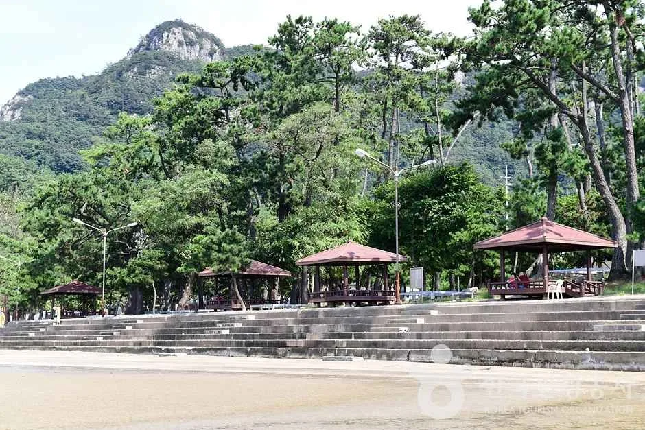 전남_영광_가마미해수욕장 (4)
