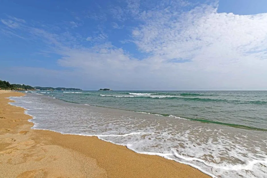양양_잔교리해변 (5)