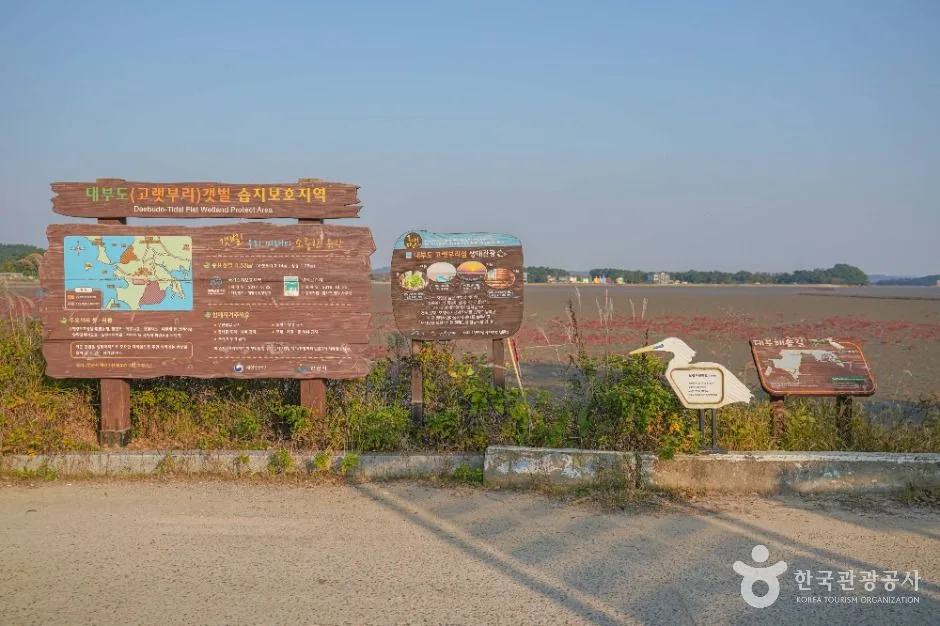안산_해뜨는 대부도 고랫부리 (1)