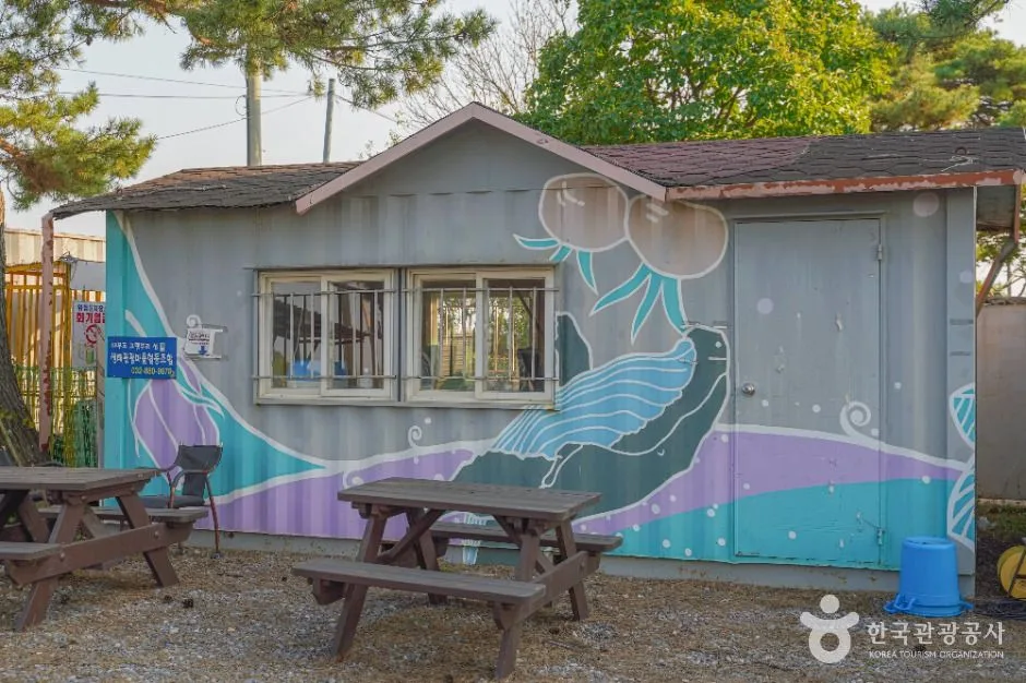 안산_해뜨는 대부도 고랫부리 (4)