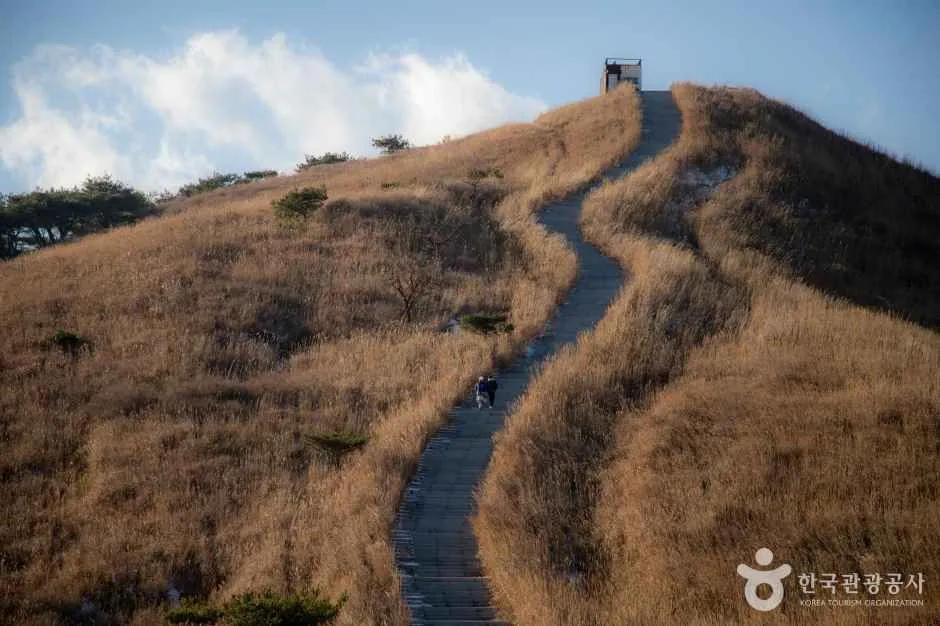 황매산