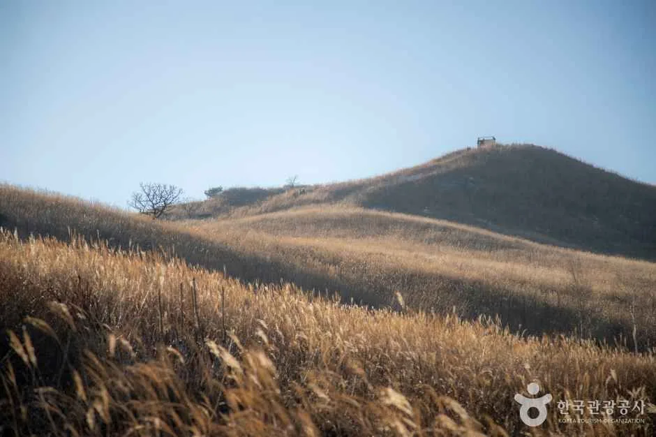 황매산