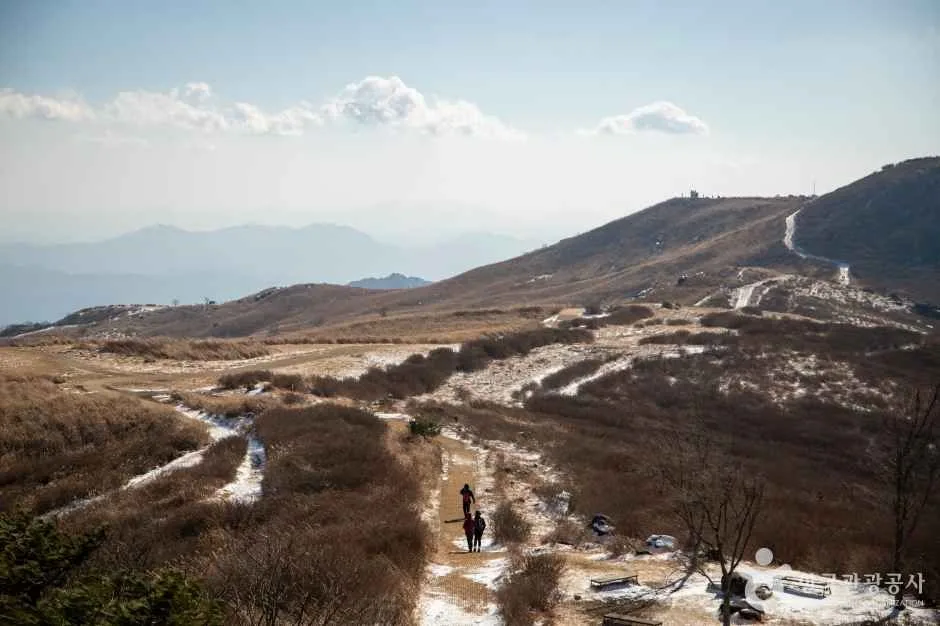 황매산