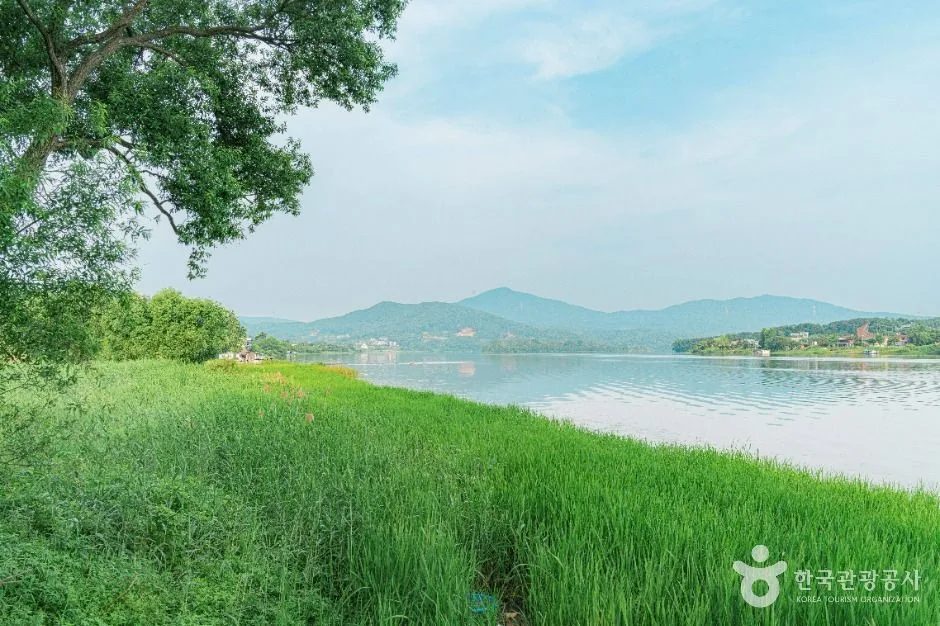 양평_강하수변공원 (5)