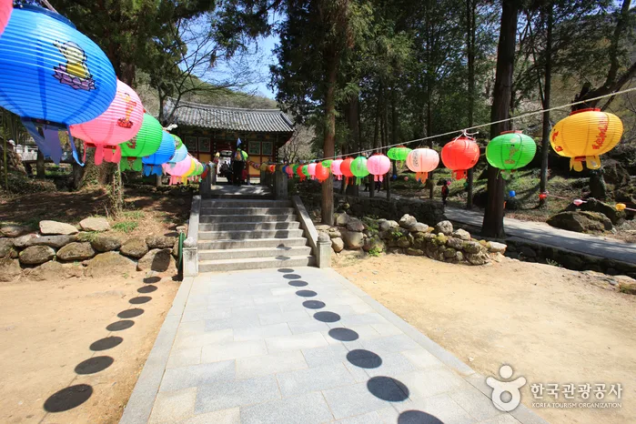 하동의 차문화와 아름다운 청산을 돌아보며...