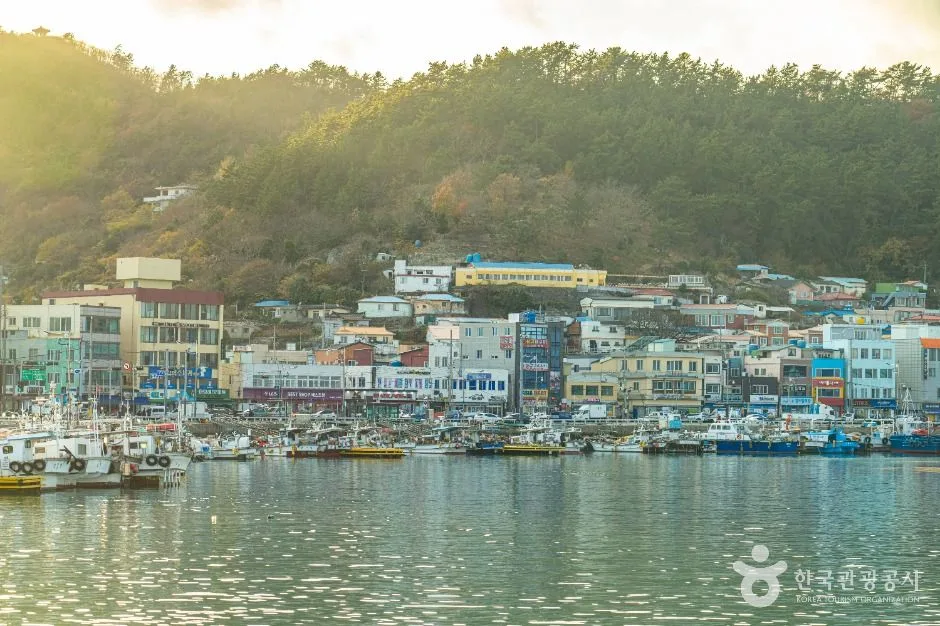 완도_완도항 (10)