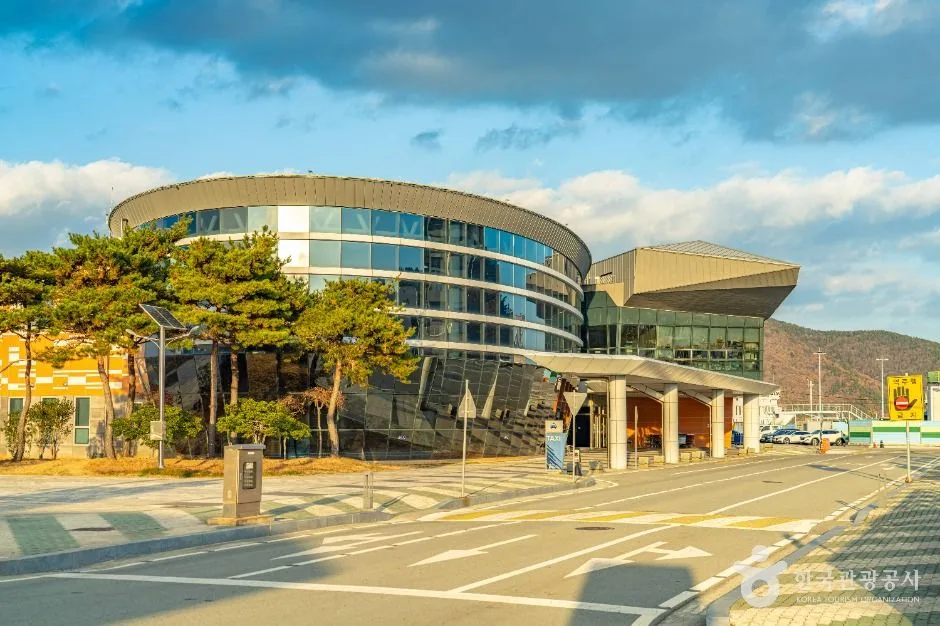 완도_완도항 (11)