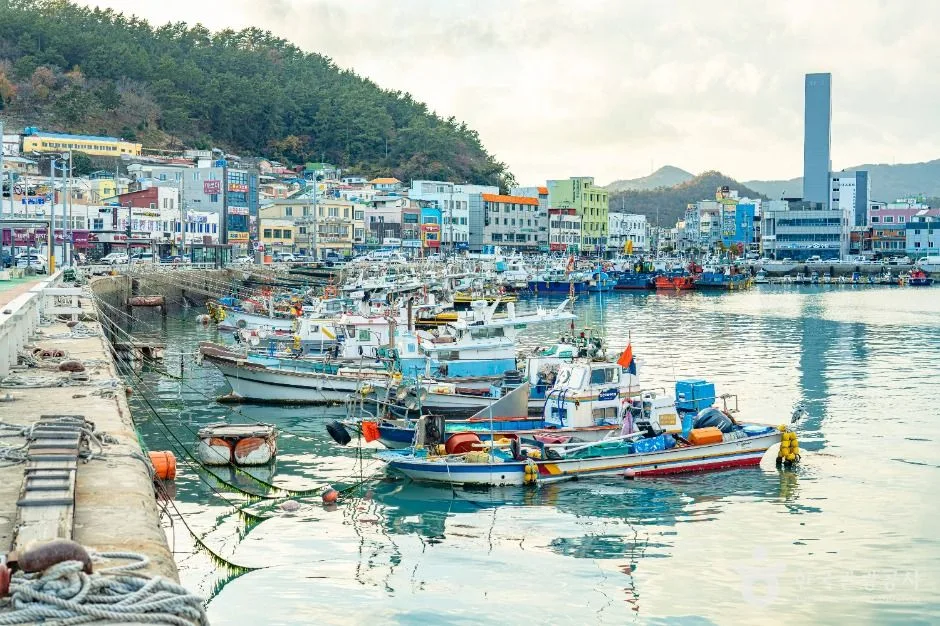 완도_완도항 (12)