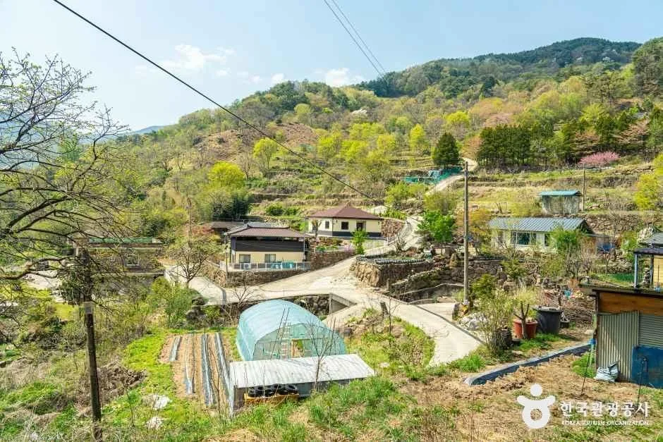 구례_당치마을 (3).jpg