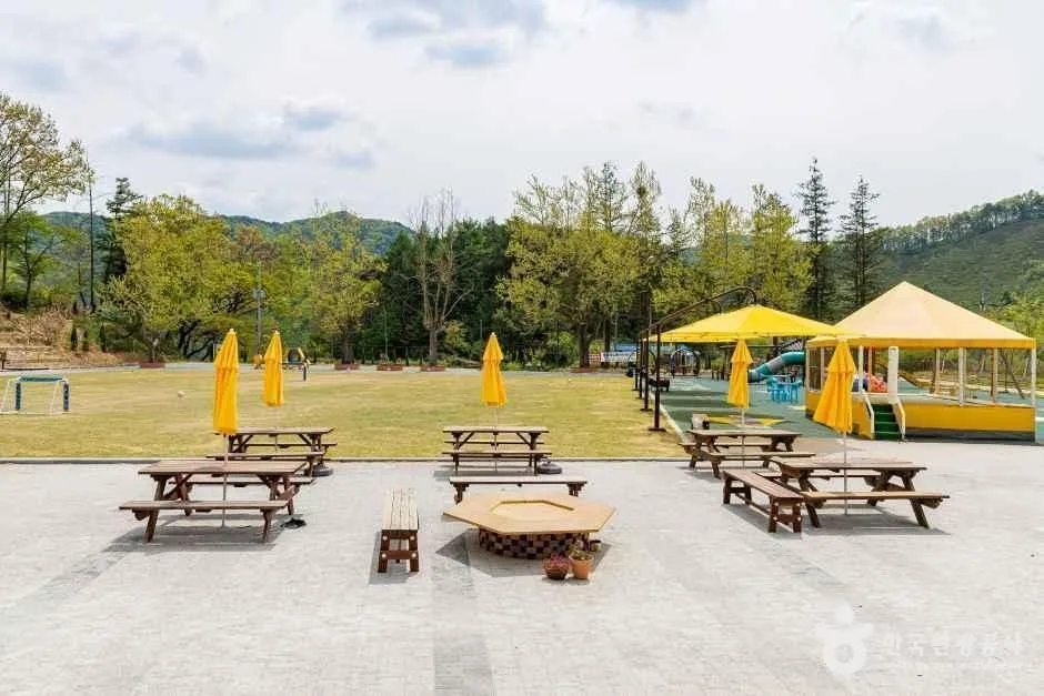 괴산_꿀벌랜드 (2).jpg
