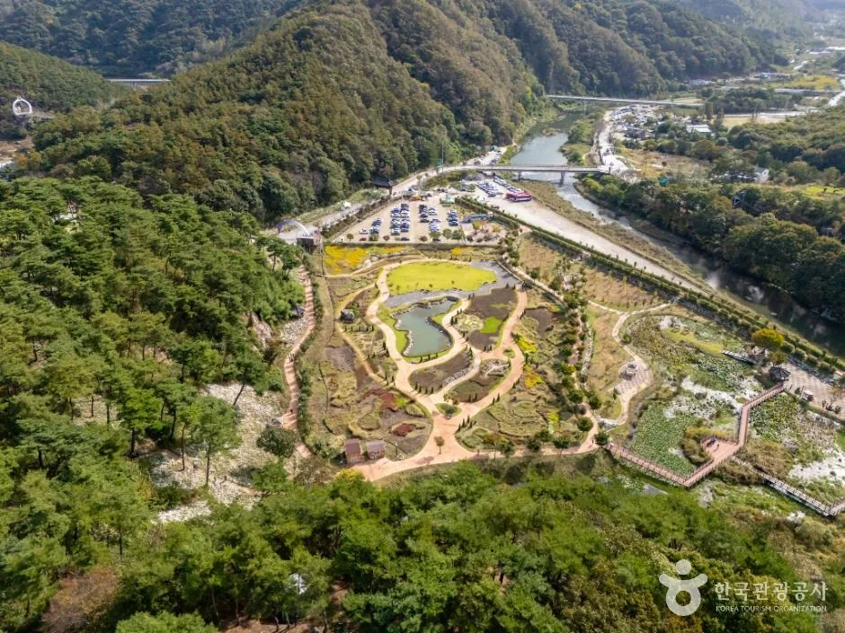 정읍_정읍 구절초 지방정원 (2)