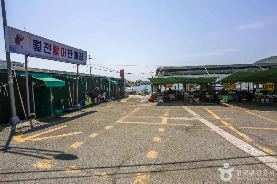 월전포구(월전방파제) (5)