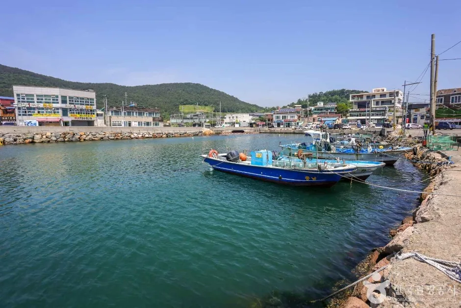 월전포구(월전방파제)