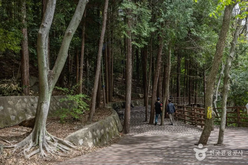부산_성지곡수원지 (8)