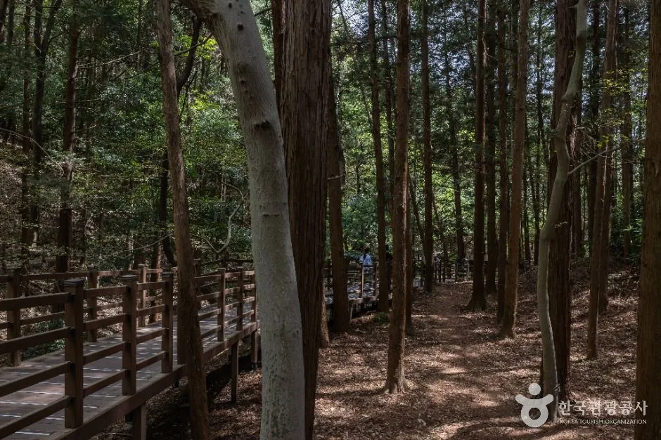 부산_성지곡수원지 (10)