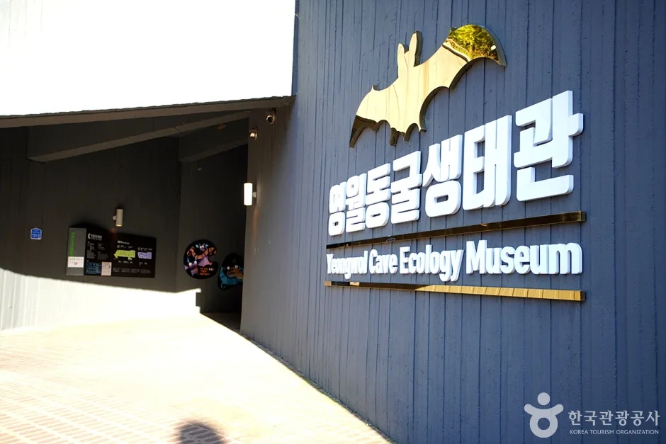 영월동굴생태관 (4)