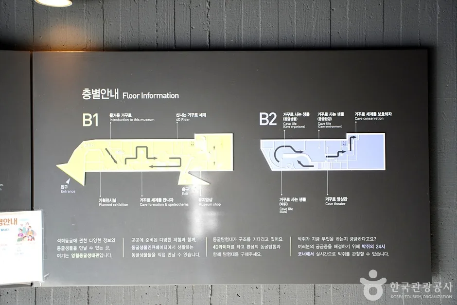 영월동굴생태관 (6)