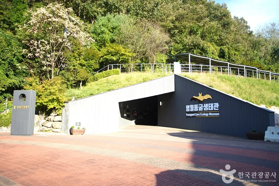 영월동굴생태관 (2)