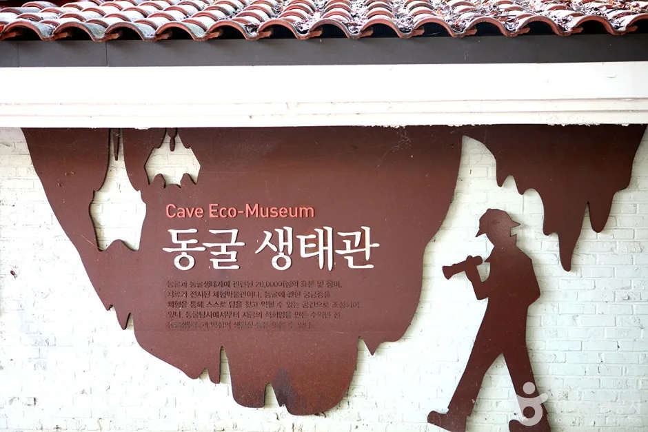 영월동굴생태관 (1)