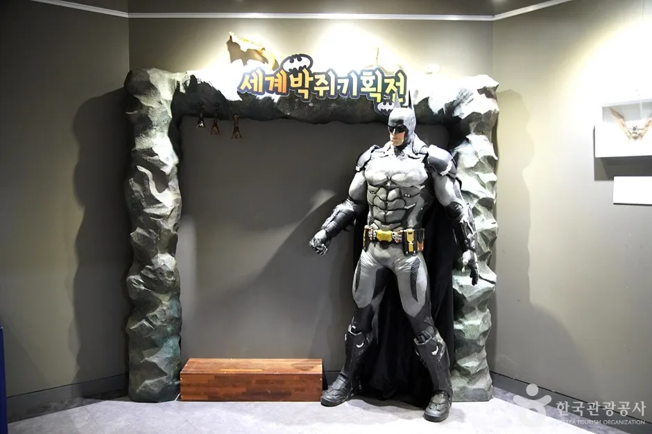 영월동굴생태관 (7)