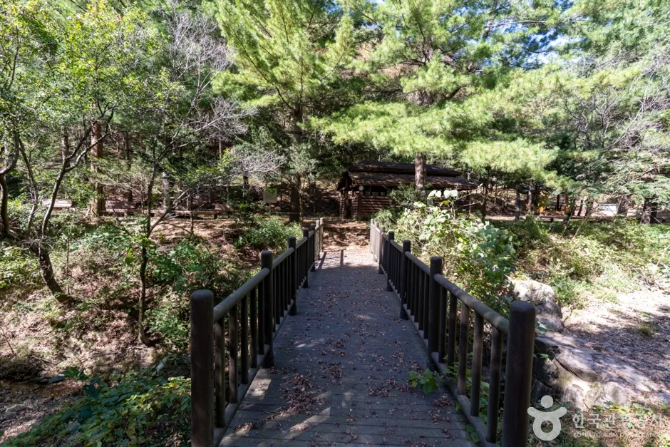 군위 장곡자연휴양림 (13)