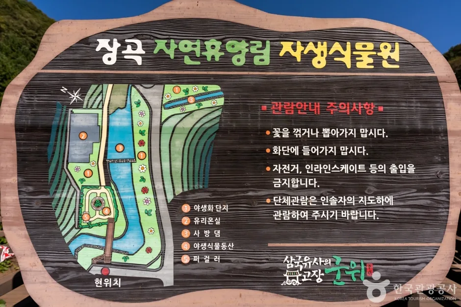 군위 장곡자연휴양림 (12)