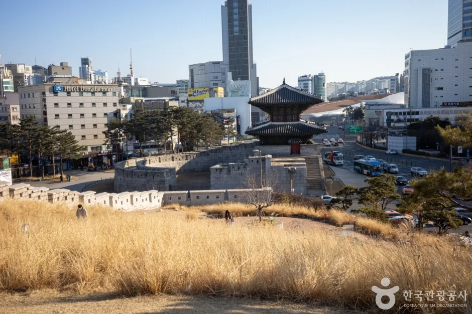 흥인지문공원 (3)