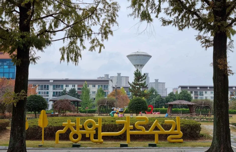 창원 가로수길
