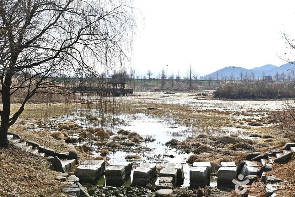 전남_함평_함평천수변공원 (2)
