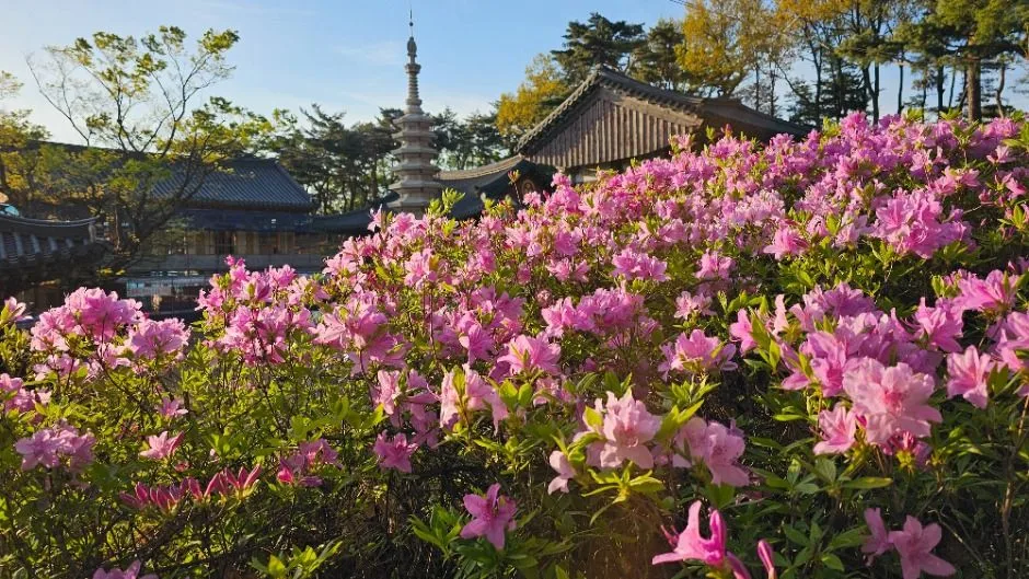 서울_호압사(서울) (17)