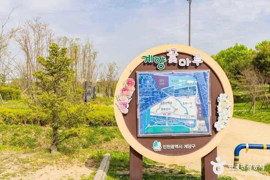 인천_계양구_계양꽃마루 (7)