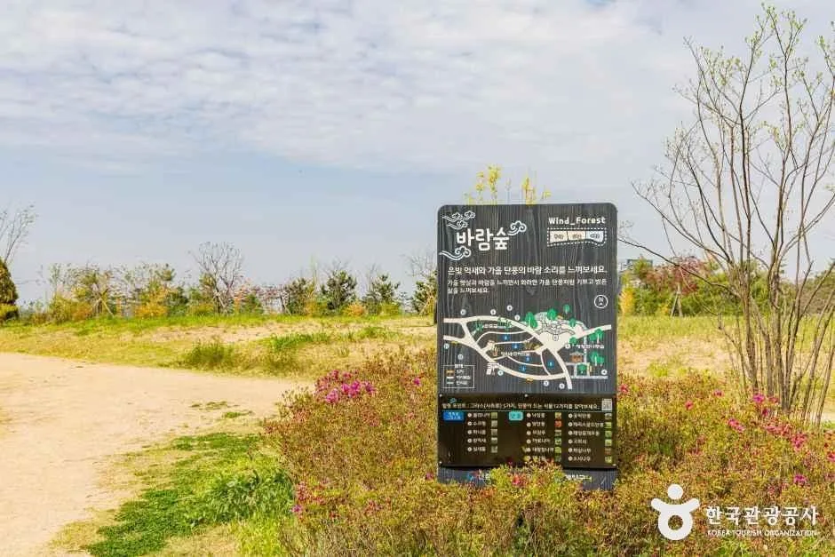 인천_계양구_계양꽃마루 (6)
